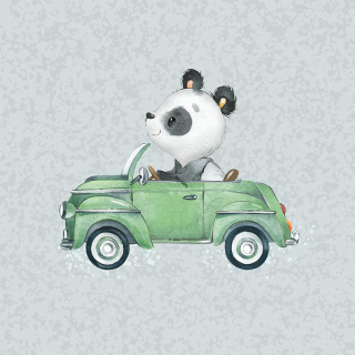 Panel  Panda v autíčku